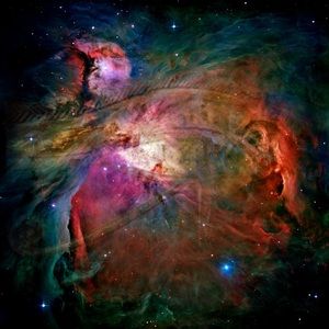 Meet your Posher, Ronald